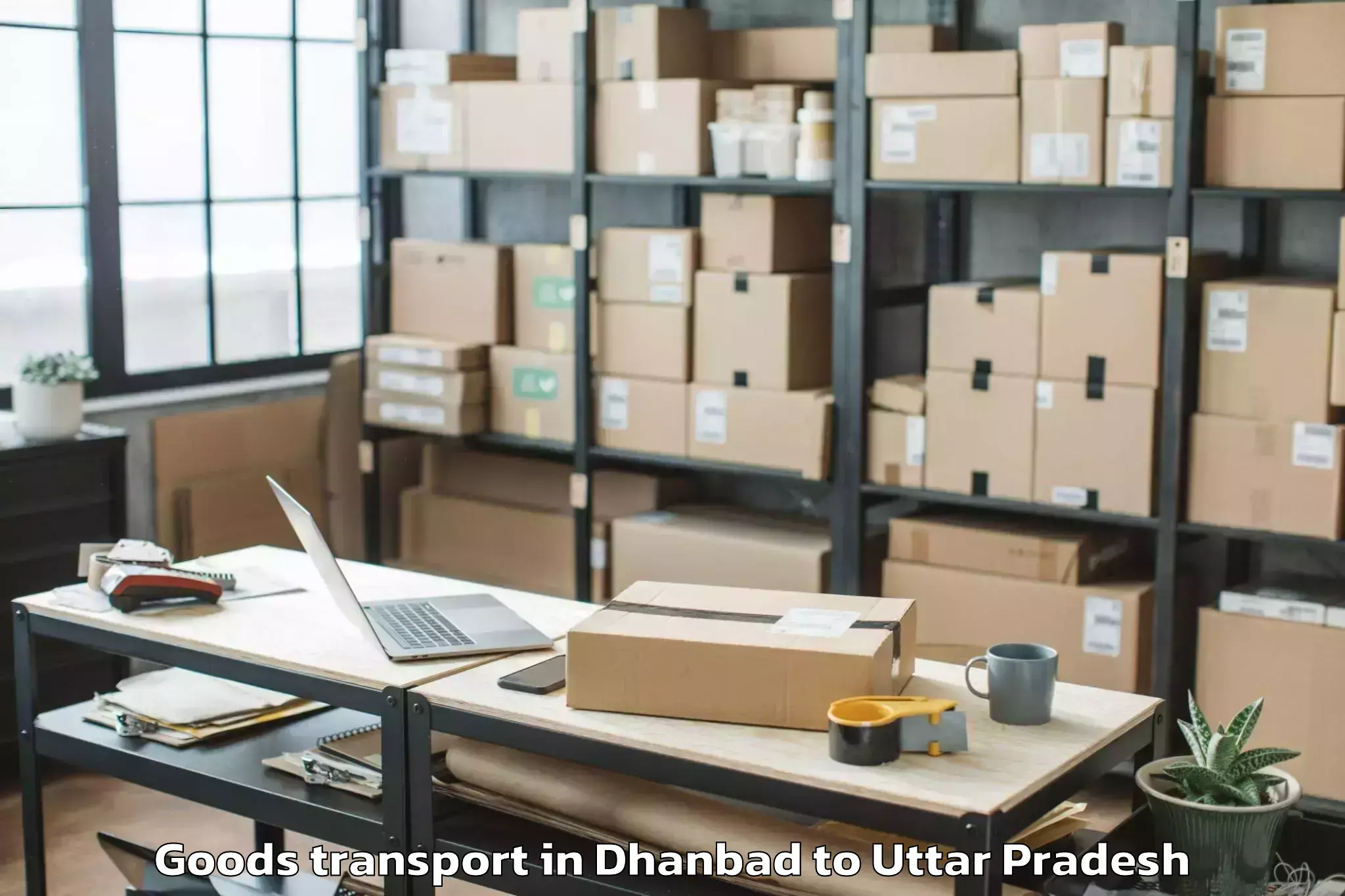 Book Dhanbad to Tindwari Goods Transport Online